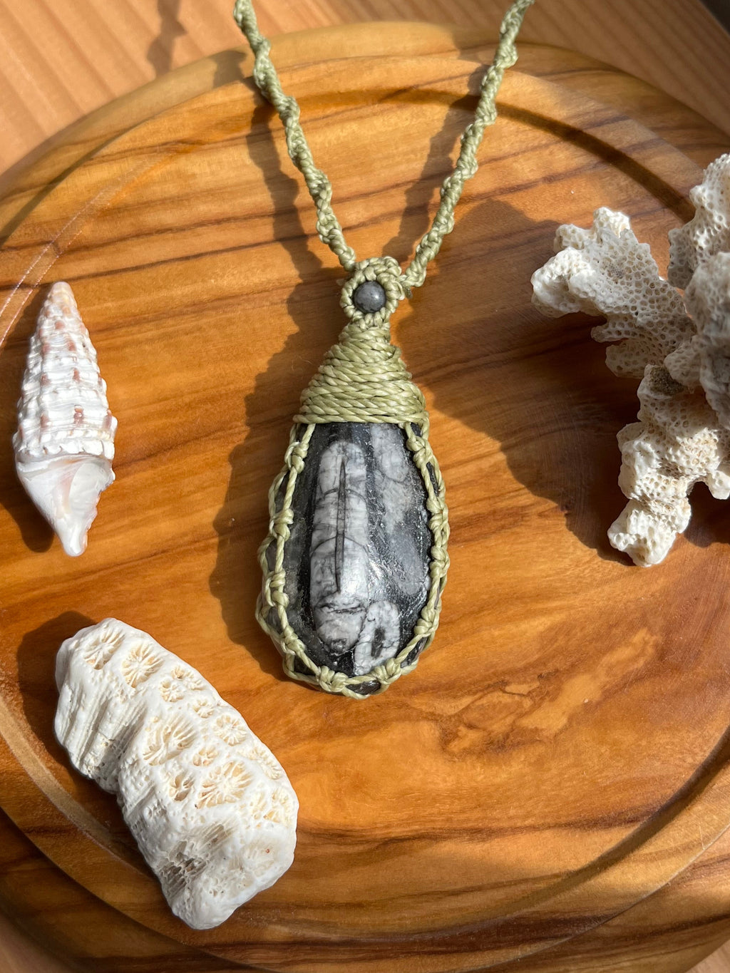 Orthoceras Fossil Necklace