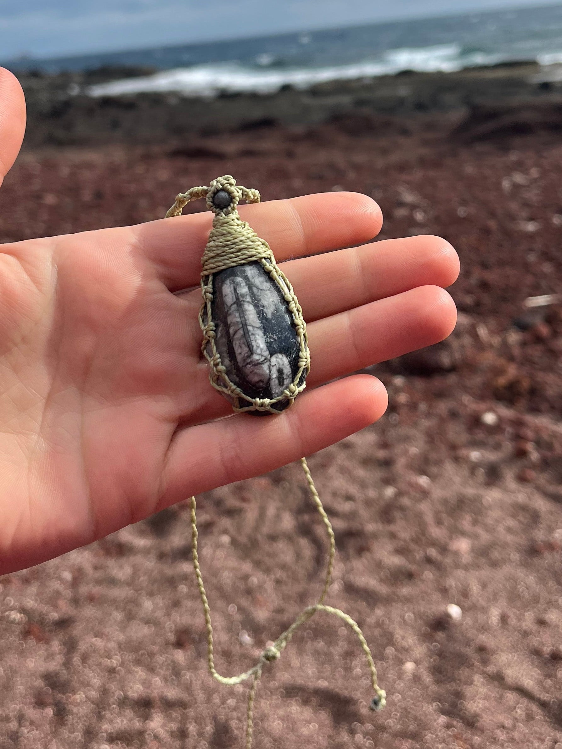 Orthoceras Fossil Necklace