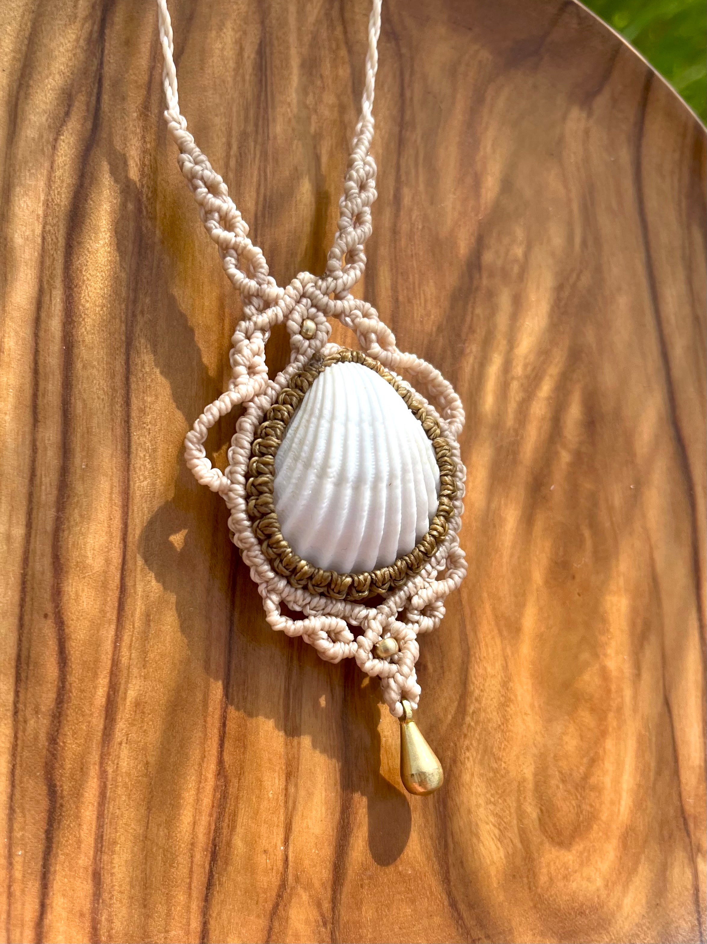 Seashell Necklace