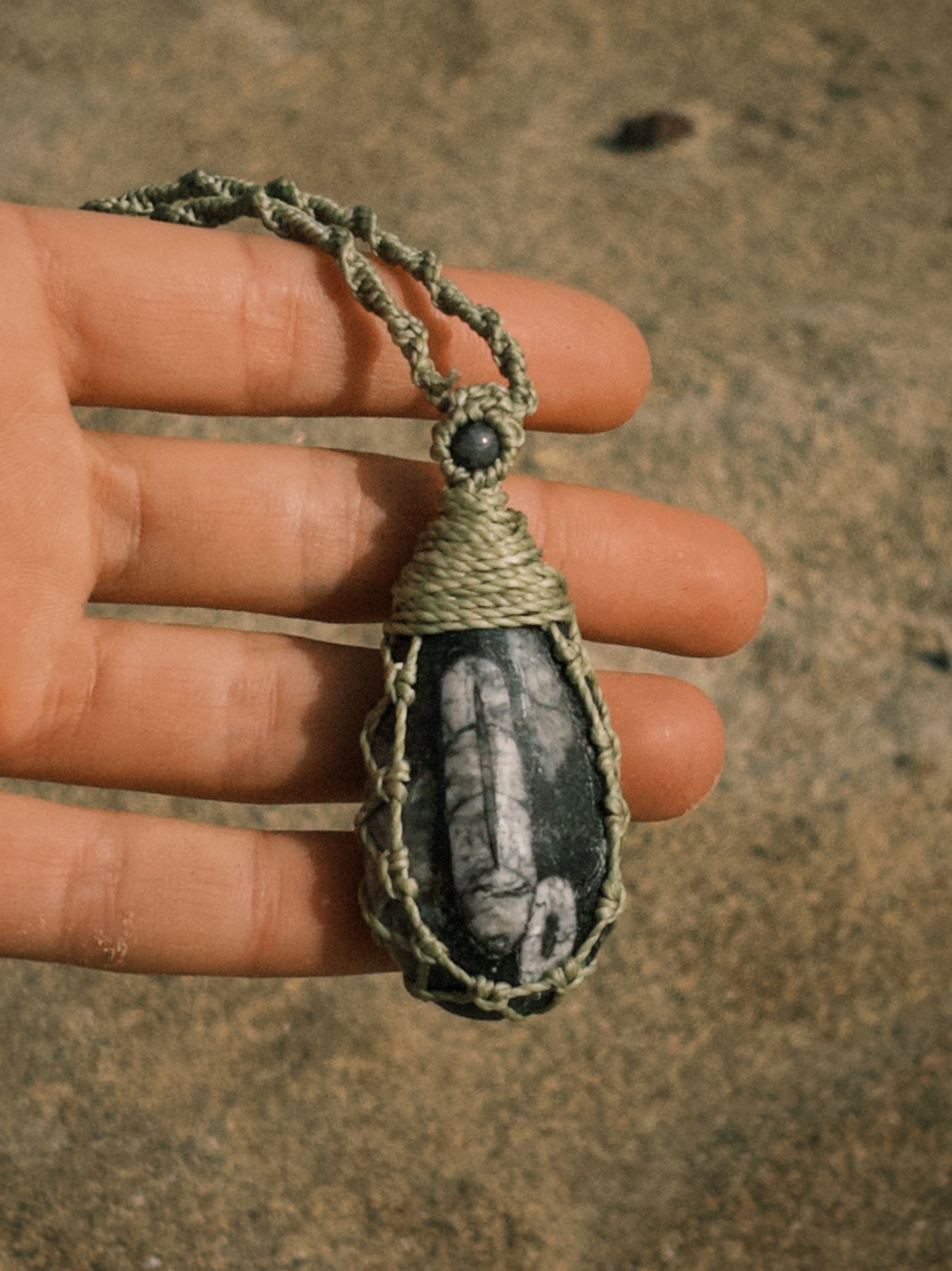 Orthoceras Fossil Necklace